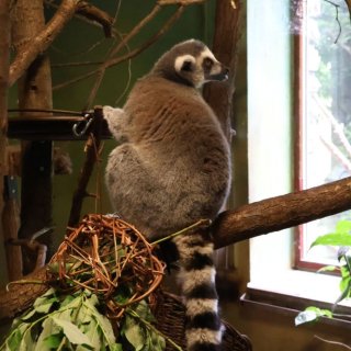 V Zoo Praha