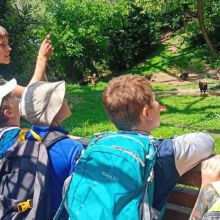V Zoo Praha