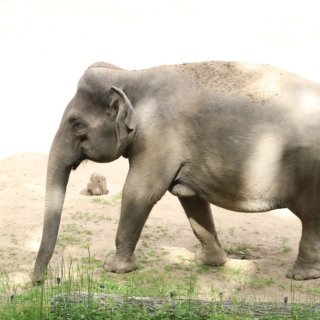 V Zoo Praha