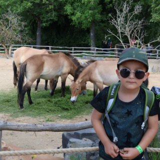 V Zoo Praha