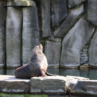 V Zoo Praha