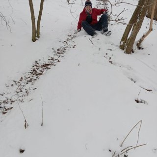 Sáňkování