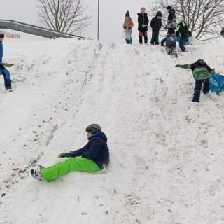 Sáňkování
