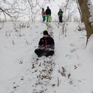 Sáňkování