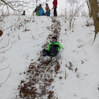 Sáňkování