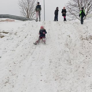 Sáňkování