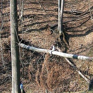 Šplhouni aneb Krtkův trojboj na kládě