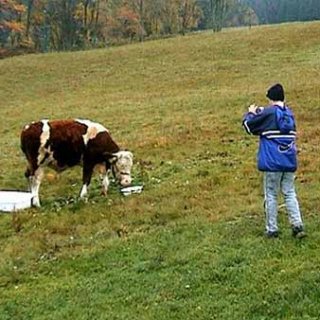 Lovy beze zbraní