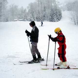 Fred a jeho věrné Morče