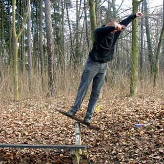 Ještěr surfuje na lavičce