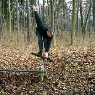 Ještěr surfuje na lavičce