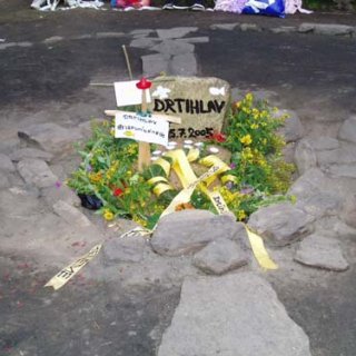 Zemřela nám rybička