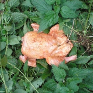 Kuře zabalit do kopřiv, aby nebylo od hlíny.