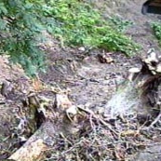 Letní tábory 1998, 1999