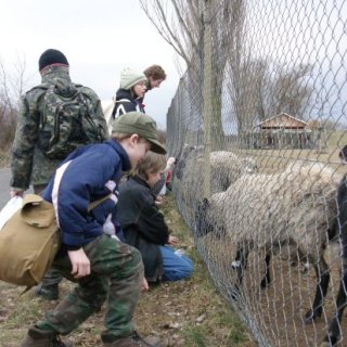 Krmení dravé zvěře ve Velkém Oseku
