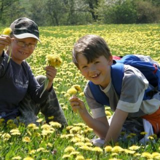V pameliškách. Dalších 113 fotek na http://arven.rajce.idnes.cz/2009-04-25_Hrusice/