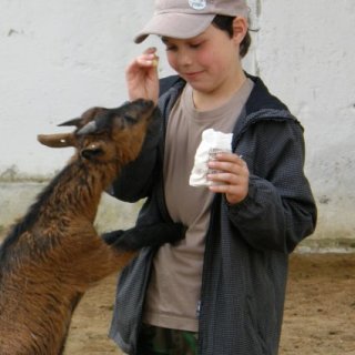 Nejdřív hezky popros