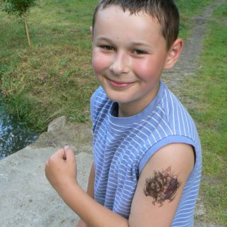 drsňák Filda