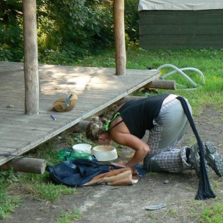 mňau