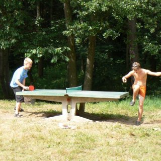 karate ping pong