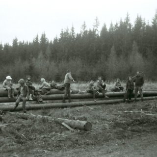 Lesní brigáda