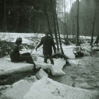 Ledování