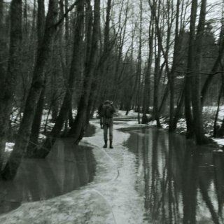 Ledování