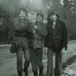 Ledování