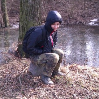 Hříbeček