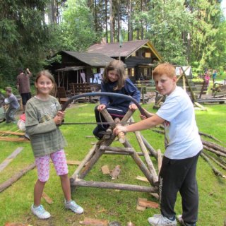 Dřevo