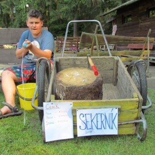Sekerník