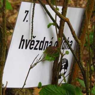 Hvězdná obloha