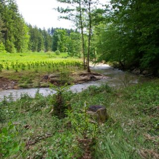 Pohled od latrín na louku k Církvici