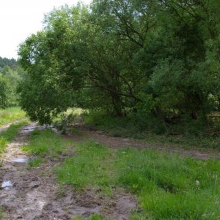 Cesta do Církvice
