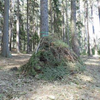 Kukaň 2.družina