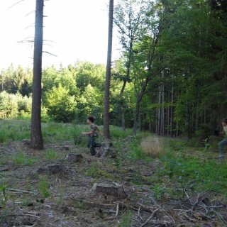 Utíkej Foreste