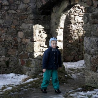 V hradním paláci