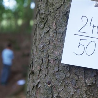 Tábor 2014: Vzhůru ke hvězdám 2114