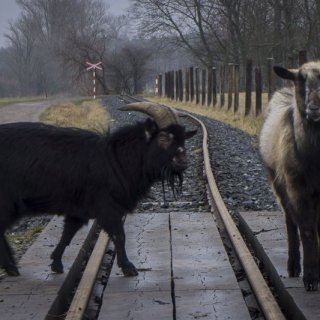 Vláčkem po řepařské drážce