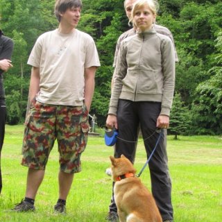 Jak to asi letos dopadne?