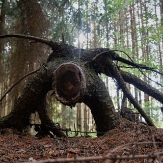 Tábor 2015 - Doba temna
