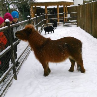 Hlavně nekrmit!
