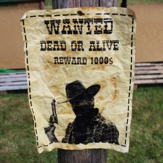 WANTED
