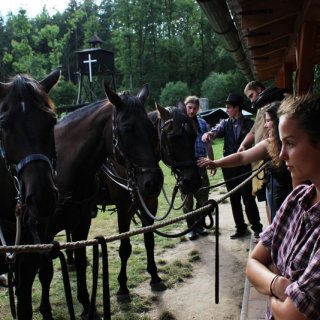 O koních a lidech