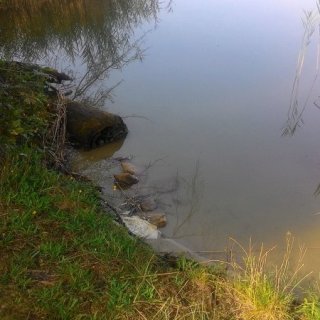 Máchovo jezero 2