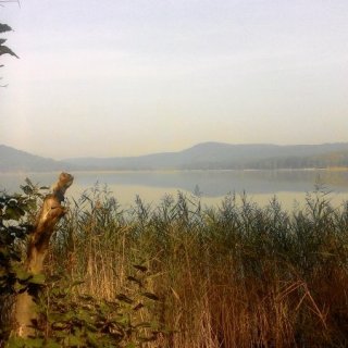 Máchovo jezero 5