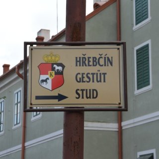 Hřebčín, Gestüt, Stud