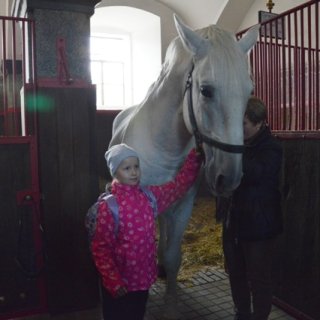 Foto s koněm