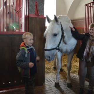 Foto s koněm 3