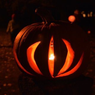 Věnec pro neznámého vojína
